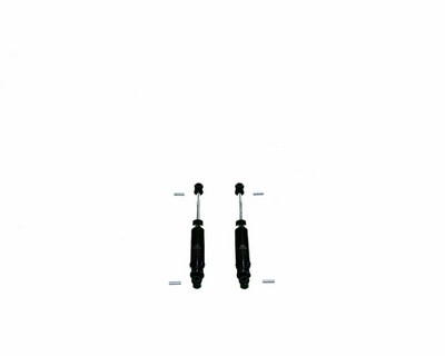 IHC:GM8898919